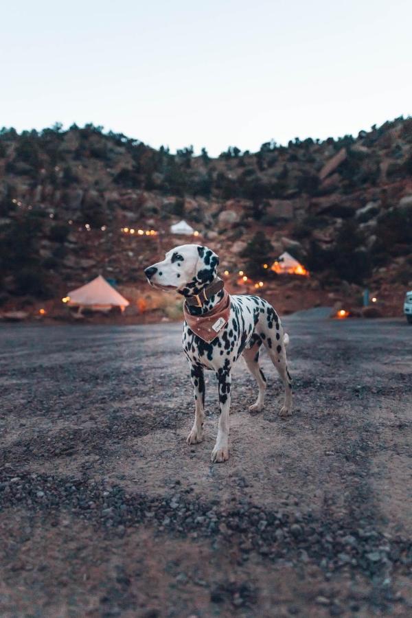 Zion Glamping Adventures Otel Hildale Dış mekan fotoğraf